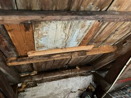 hout-midden-voor-2